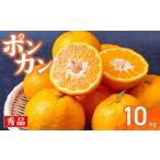 果物の詰合せ 秀品 須崎産 ポンカン 10kg