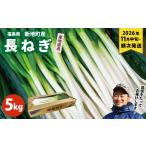 野菜類 ねぎ 長ネギ 約5kg