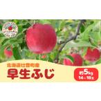 りんご 早生ふじ 約5kg