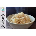 ふるさと納税 玄米 岩手県 陸前高田市  2ヶ月定期便 令和7年産 玄米 5kg×2ヶ月お届け 品種：ひとめぼれ 米 お米 ライス お弁当 おにぎり 人気 ギフト 長期保…