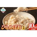 玄米 8ヶ月定期便 令和8年産 10kg×8ヶ月お届け