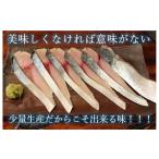 魚貝類 魚で肴 詰め合わせ 天然物のみ4種類