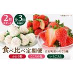 いちご 2027年2月~発送 3回定期便