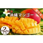 fu.... налог манго Okinawa префектура ... город Okinawa префектура производство .. для манго 2kg предшествующий предварительный заказ 2027 год отправка манго . толщина ..ju-si- Nankoku фрукты фрукты прямая поставка от производителя pre...