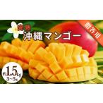 fu.... налог манго Okinawa префектура ... город Okinawa префектура производство .. для манго 1.5kg предшествующий предварительный заказ 2027 год отправка манго . толщина ..ju-si- Nankoku фрукты фрукты прямая поставка от производителя p...