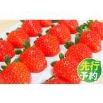 吉次いちご 24~33粒 700g以上