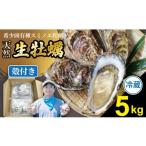 牡蠣 生牡蠣 天然 有明海産 住之江牡蠣 殻付き