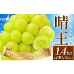 ぶどう シャインマスカット 晴王 約1.4kg