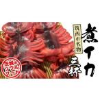 fu.... налог кальмар Ibaraki префектура . запад город . запад город достопримечательность . кальмар ( три кубок )... запад Ibaraki so Wolf -do. данный земля гурман достопримечательность морепродукты морепродукты рефрижератор [BW090ci]