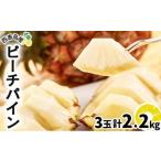 果物類 2027年 ピーチパイン 約 2.2kg