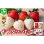ショッピングふるさと納税 いちご ふるさと納税 いちご 北海道 伊達市  2026年先行予約 サラダないちご（赤・白）ご褒美 苺 最旬 贈答 ギフト プレゼント 果物 フルーツ イチゴ 北海道 伊達 ecg…