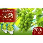 ぶどう マスカット 完熟 シャインマスカット 700g