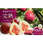 いちじく 完熟 イチジク 9玉-12玉 谷川農園