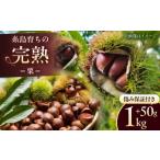 fu.... налог фрукты вид каштан Fukuoka префектура нить остров город предшествующий предварительный заказ Fukuoka префектура нить остров город производство каштан 1kg 2026 год 9 месяц сверху . после отправка нить остров город |. река сельское хозяйство .kli.. сладкие каштаны AVQ007