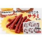 肉 天狗ハム おてごろサラミセット 90g×6袋