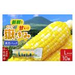 とうもろこし 嶽きみ真空パック SSサイズ 10本