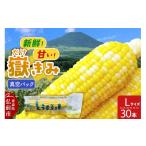 とうもろこし 嶽きみ真空パック SSサイズ 30本