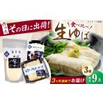 加工品等 全3回定期便 ゆば 生ゆば詰合せ3セット