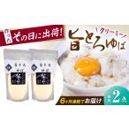 加工品等 全6回定期便 ゆば 旨とろ生ゆば2個パック