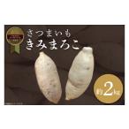 野菜類 サツマイモ 2026年度産 さつまいも
