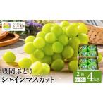 豊岡ぶどう シャインマスカット 2箱