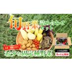 セット 詰合せ 旬のお野菜セット 8回 定期便