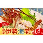 ふるさと納税 エビ 伊勢エビ 高知県 須崎市  訳あり 職人吉岡 の 冷凍 伊勢海老 約 1.4kg 2 〜 7尾 ( サイズ混合 えび エビ いせえび 高級 鮮魚 イセエビ 海鮮…