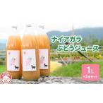 野菜類 ジュース ナイアガラぶどうジュース1L×3本セット