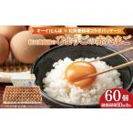 ふるさと納税 卵（鶏、烏骨鶏等） 兵庫県 三木市  オーイ とんぼ×松田養鶏場コラボパッケージ 産地直送 松田養鶏場のひょうごの赤たまご60個（50個+割れ補償1…