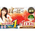 ふるさと納税 いちご 栃木県 真岡市  定期便2回 いちご とちおとめ・とちあいか 500g 食べ比べ セット | 苺 イチゴ おいしい 甘い 人気 いちご日本一のまち 栃…