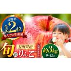 ふるさと納税 りんご 長野県 松本市  先行受付：2026年発送 信州産りんご 品種おまかせ 約3kg (8〜12玉)　 秋映・シナノスイート・シナノゴールド・名月・サン…