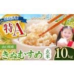 ふるさと納税 玄米 山口県 美祢市 令和7年度産 きぬむすめ 玄米 10kg 2026年1月〜より順次発送予定 ｜ 米 精米 玄米 米 雑穀 お米 コメ 単一米 きぬむすめ 絹…