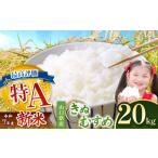 ふるさと納税 米 きぬむすめ 山口県 美祢市 令和7年度産 きぬむすめ 白米 20kg 2026年3月上旬 〜 順次発送予定 ｜ 精米 白米 米 雑穀 お米 コメ 単一米 きぬむ…
