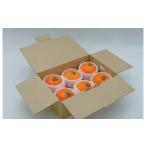 ふるさと納税 果物類 みかん 愛媛県 今治市 紅まどんな 5~6個 2L~3Lサイズ K002930