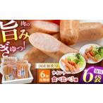 肉 ソーセージ 6回定期便 白川ハム ウインナー3種セット