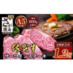 牛肉 ステーキ 定期便2回配送 \極上のご褒美肉