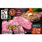 牛肉 ステーキ 定期便5回配送 \極上のご褒美肉