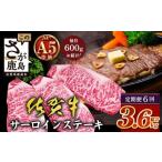 牛肉 ステーキ 定期便6回配送 \極上のご褒美肉