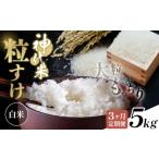 米 3ヶ月定期便 白米 神代米 粒すけ 令和7年産 5kg×3回