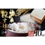 米 3ヶ月定期便 白米 神代米 粒すけ 令和7年産 10kg×3回