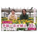 花の花農家 すみれ花園 季節の寄せ植えワークショップ