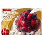 ケーキ カステラ チーズケーキ フルーツ ブルーベリー