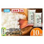 ふるさと納税 米 ササ