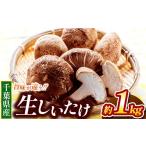 fu.... налог овощи вид .. . Chiba префектура . Цу город сырой шиитаке примерно 1kg |. Цу сырой ki медуза распродажа место пестициды ( химия удобрение ): культивирование период средний не использование овощи .. . грибы .........