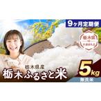 栃木 ふるさと米 無洗米 5kg