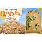 ふるさと納税 玄米 青森県 十和田市  令和7年産 はれわたり30kg(玄米) 1680302