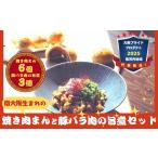 惣菜 レトルト 冷凍 南大阪生まれの焼き肉まん