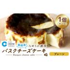 ケーキ カステラ チーズケーキ 箱根発 なめらか濃厚バスク…