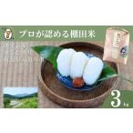 ふるさと納税 米 コシ