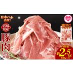 豚肉 炒め物 豚肉小間切れ 1袋500g 約2.5kg